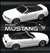 IWAVER 02M RTR �~�j�N�[�p�[S ���b�h