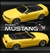 IWAVER 02M RTR �~�j�N�[�p�[S �u���[�i�X�g���C�v�j
